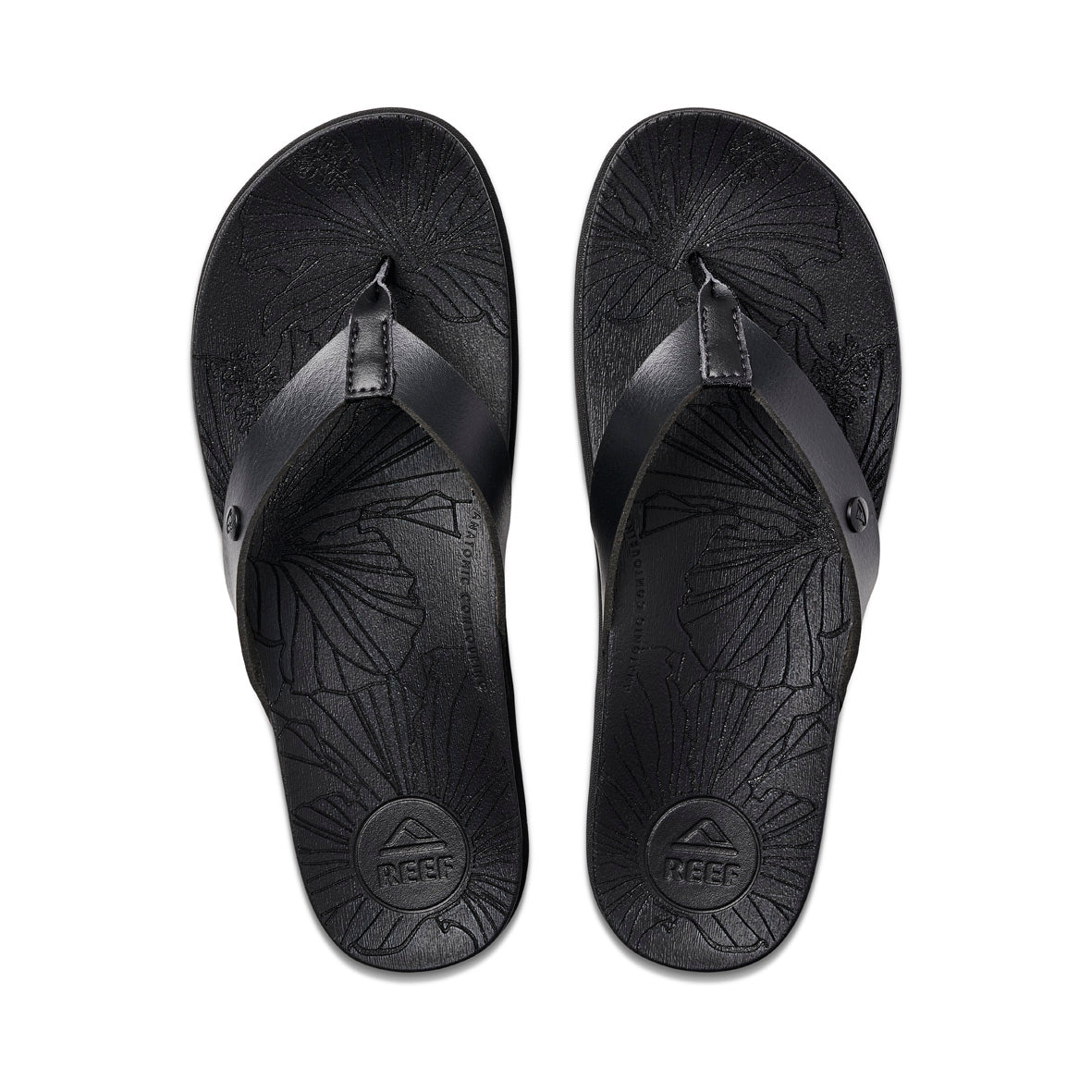 Reef Shoes Cushion Vista Higher Sandals for Women in Black | CJ0654 – Glik's